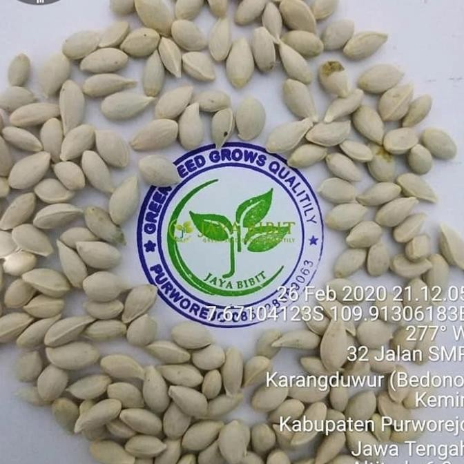 

biji jeruk jc(japance citrun) COD