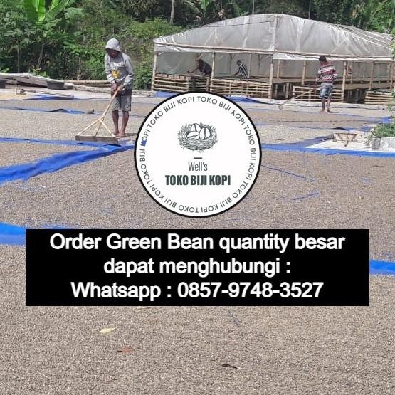 

Green Bean Biji Kopi Arabika Papua Wamena Full Wash Grade 1 - 1 Kg