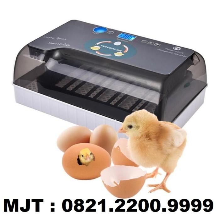 12 Egg Incubator Penetas Telur Hhd 12 Full Automatis
