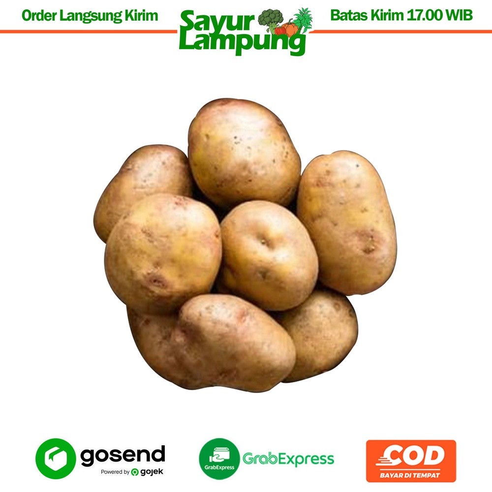 

Kentang 1 Kg - Sayur Lampung