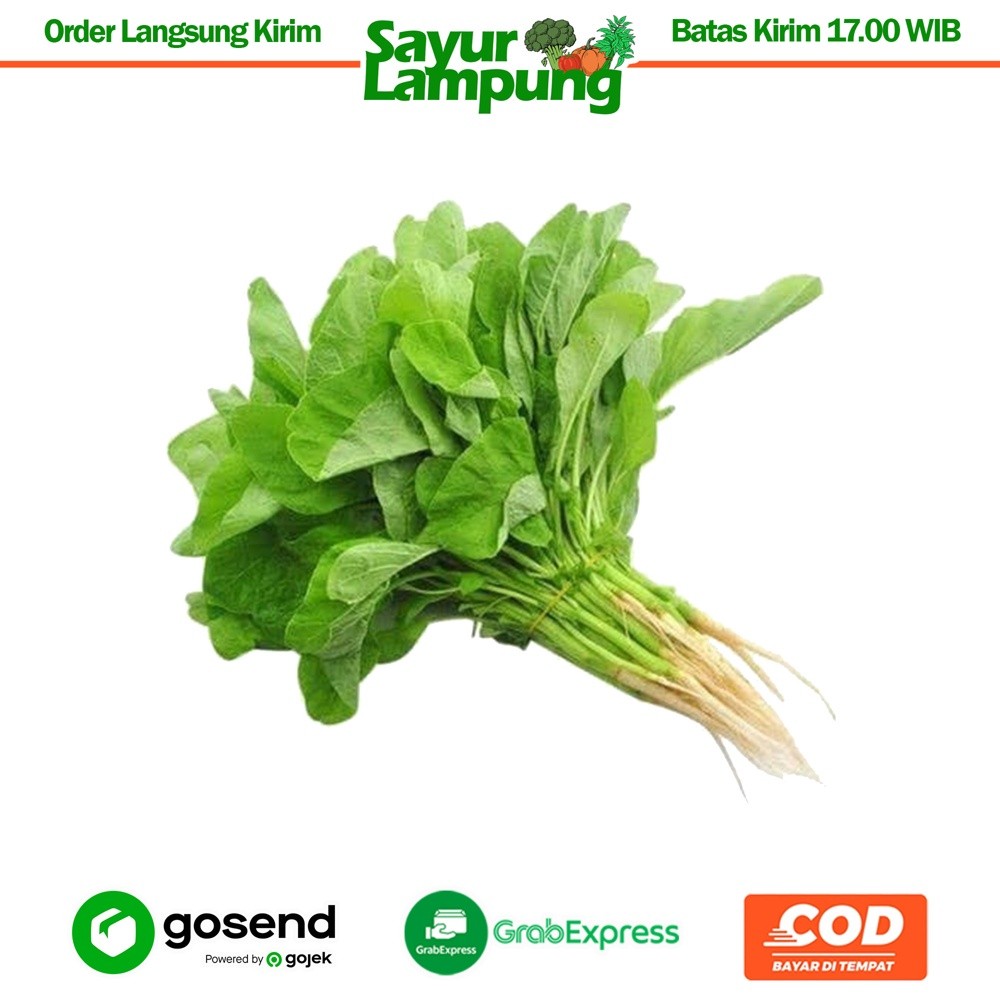 

Bayem Bayam 1 Ikat - Sayur Lampung