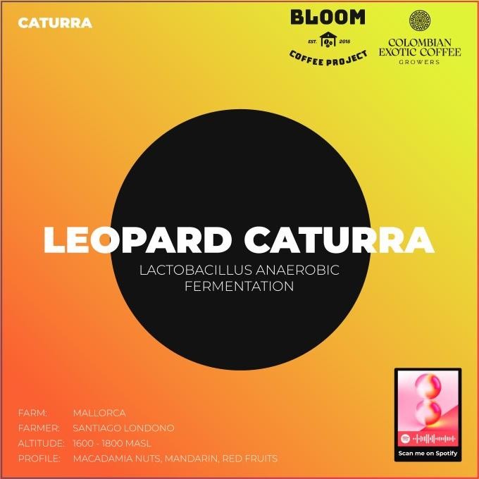 

Cec Versatile Collection - Colombia 'Leopard Caturra' Anaerobic Washed