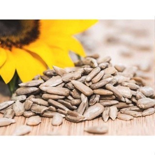 

Roasted Organic Sunflower seed / Biji Bunga Matahari Panggang Asin