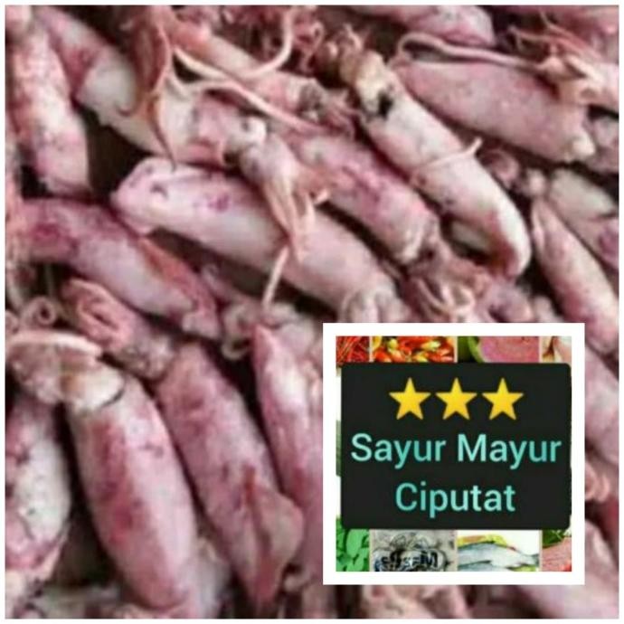 

Bayar Tempo! ikan cu asin