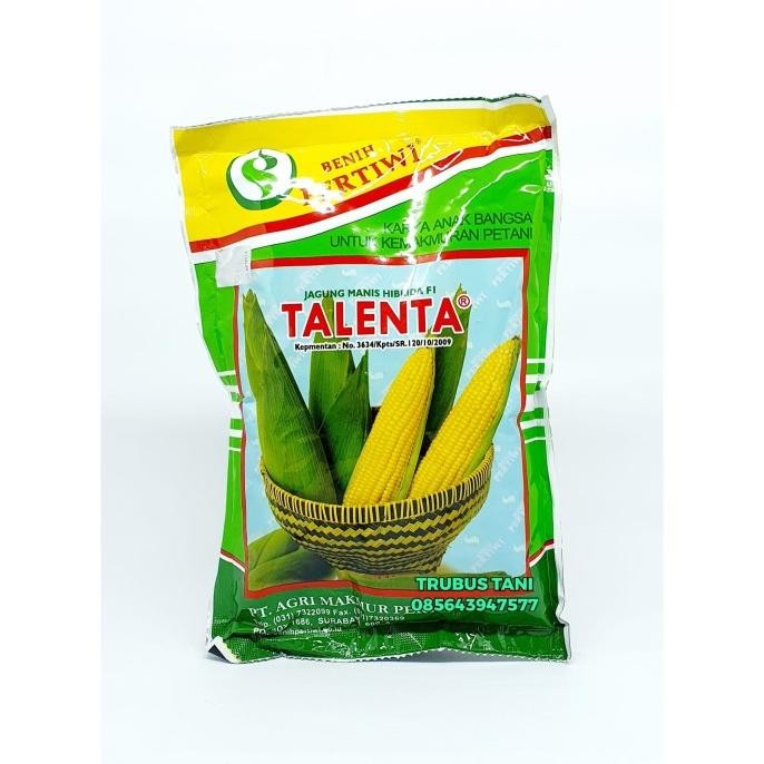 ( 1.750 BENIH ) Jagung Manis Talenta
