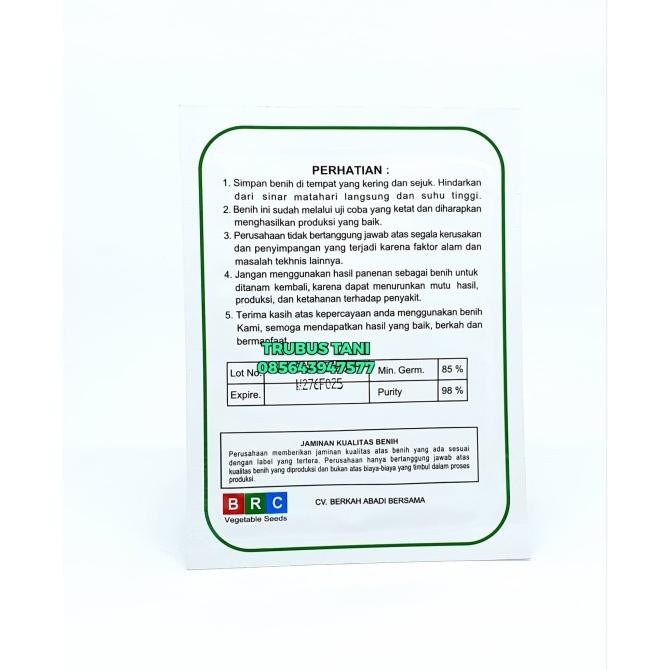 Benih sawi putih ZAMI tahan akar gada