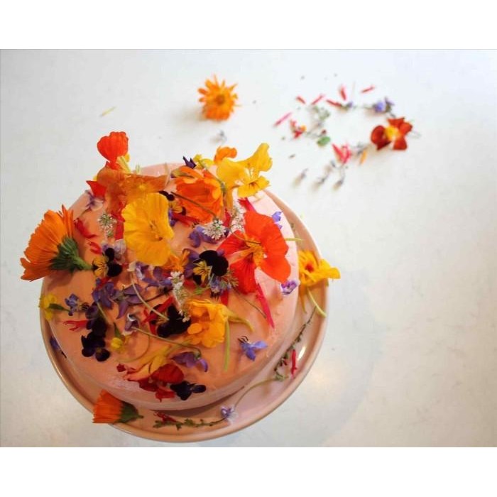 

Dried Edible Flower Mix Bunga 5Gr Kering Hiasan Kue Makanan Bunga 1