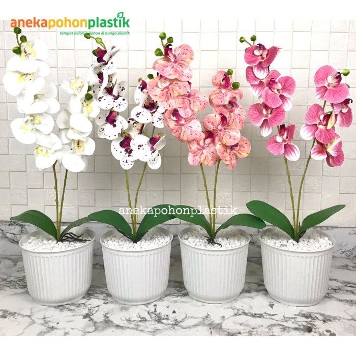 Tebaru Bunga Hias Anggrek Bulan X2 Latex Artificial Pot Plastik Dekorasi Meja Berkualitas