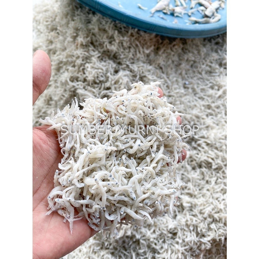 

Ikan Asin Teri Nasi Asli Medan Kualitas Super 500 Gram