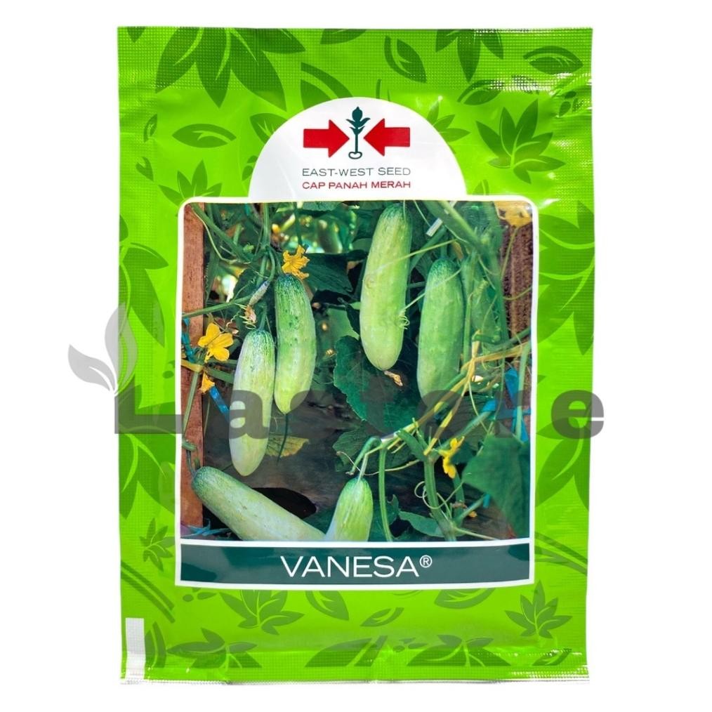 Kk - Benih Timun Mentimun VANESA Isi 20 gram Cap Panah Merah