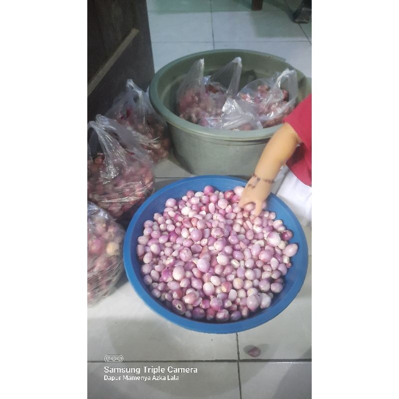 

bawang merah probolinggo