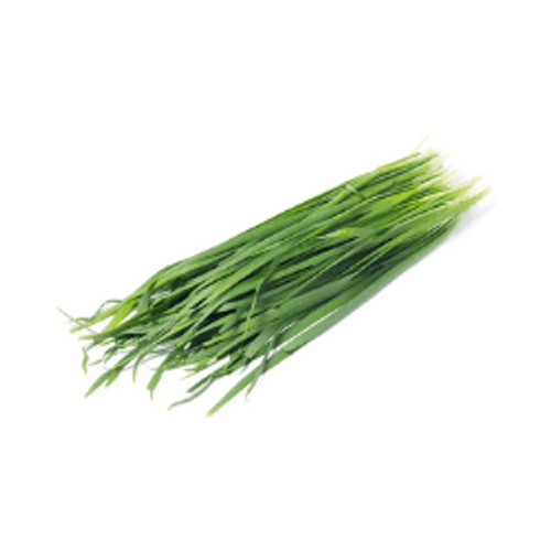 

Kucai 100g oFresh Batam