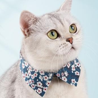 

TRUELOVE FLORAL PET DOG CAT COLLAR BOWTIE - KALUNG BUNGA KUCING ANJING ORIGINAL
