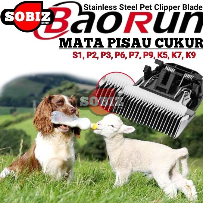 

Berkualitas Mata Pisau Cukuran Baorun P6 P7 S1 Cukuran Hewan Peliharaan