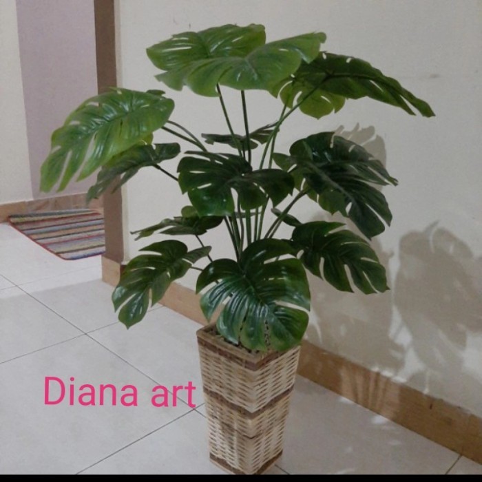 Daun Monstera#Monstera Latex#Monstera Plastik#Daun Palsu Terbaru