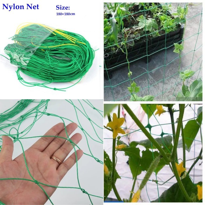 Jaring Tali Tanaman Rambat Pagar Tumbuhan Rambatan Buah Anggur Timun Terbaru