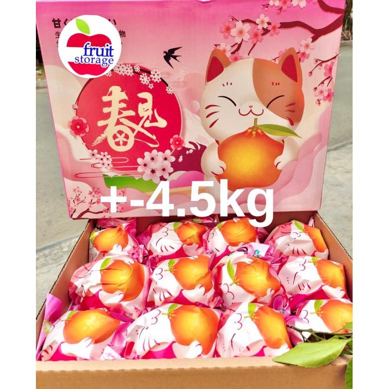BR - Jeruk Dekopon Papagan Sumo Chunjian Ponkam Premium Giftpack Gift box Imlek Sincia Hampers parce
