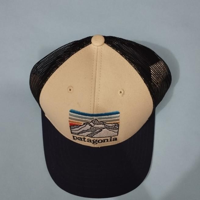 Topi Patagonia P6 Logo Truer Hat