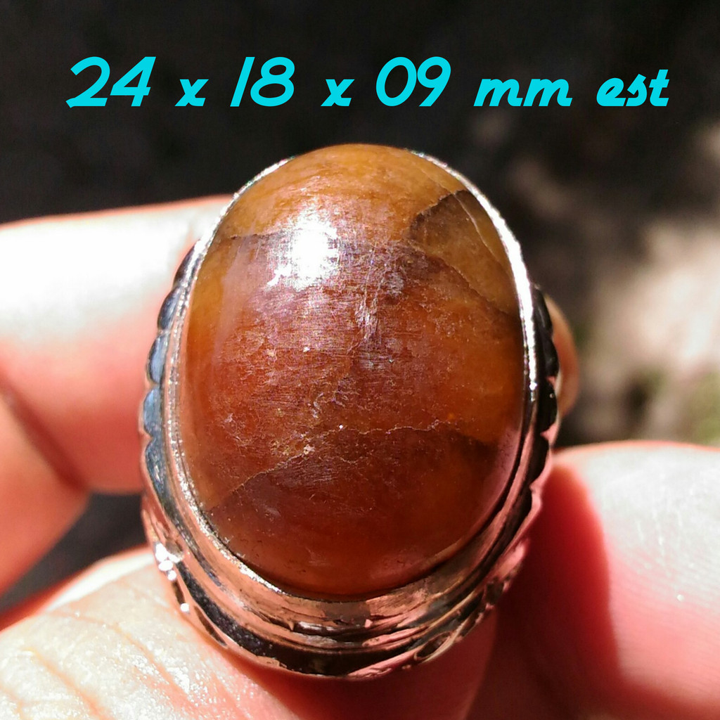 Natural MG Super Origin Sangiran Aktif Bersinergi Motif Tapak Jalak Kolektor Item