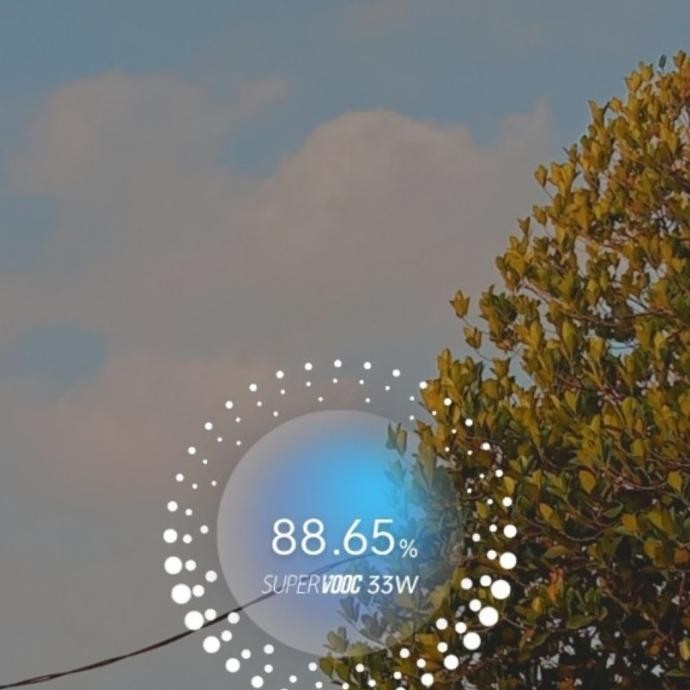 Charger Adaptor 33W Supervooc Oppo A57 A74 A76 K10 Reno 7 F21 Original