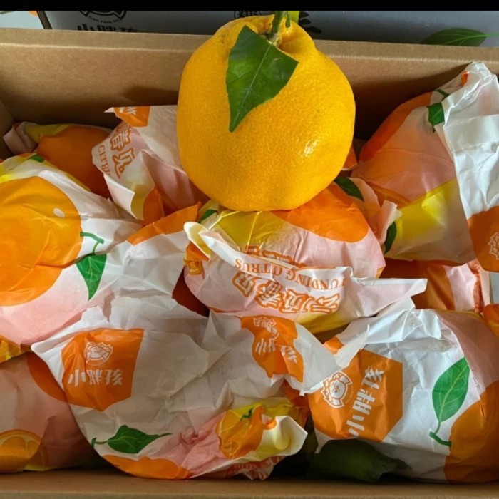 

Jeruk Papagan Dekopon Chunjian Super Jumbo XXXL / Box