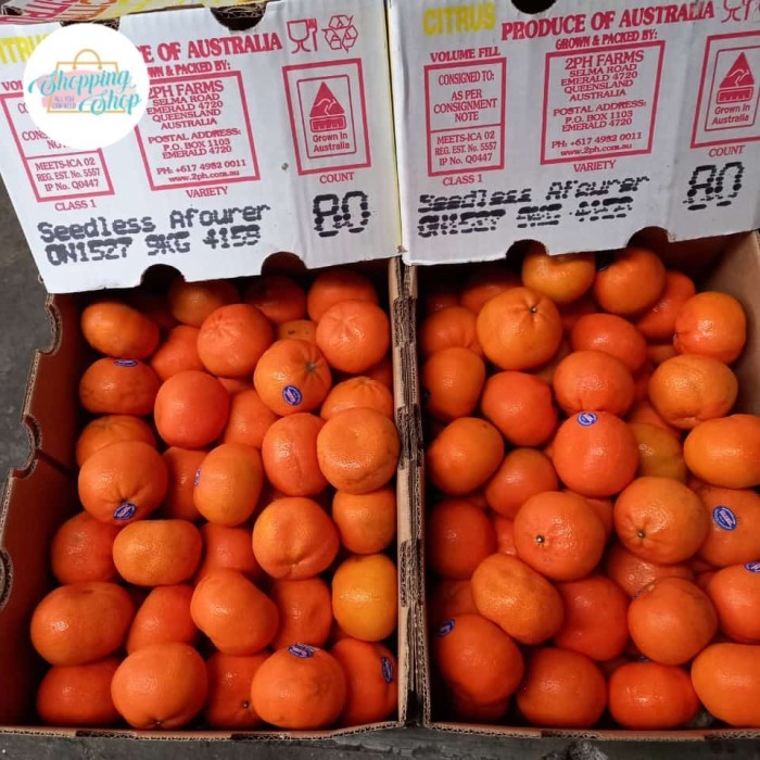 

Jeruk Afourer Australia Seedless 1 dus