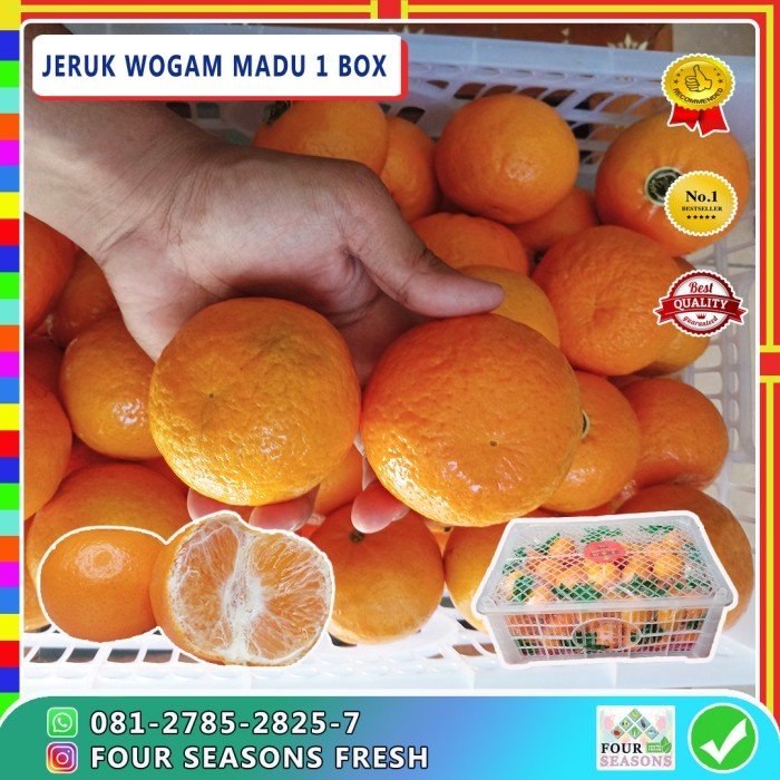 

BUAH JERUK MANIS WOGAM MANDARIN MANIS MADU KEMASAN KERANJANG