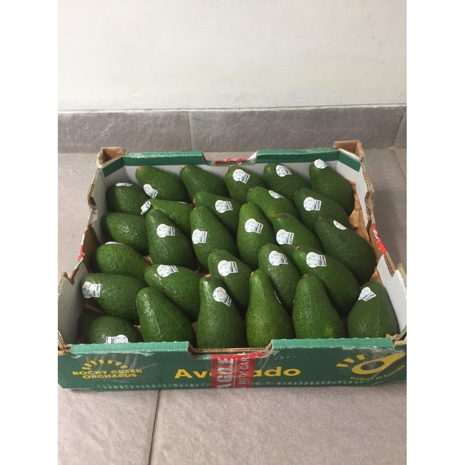 

Alpukat / Avocado Haas Australia 1 Dus (5 KG) Fresh Import