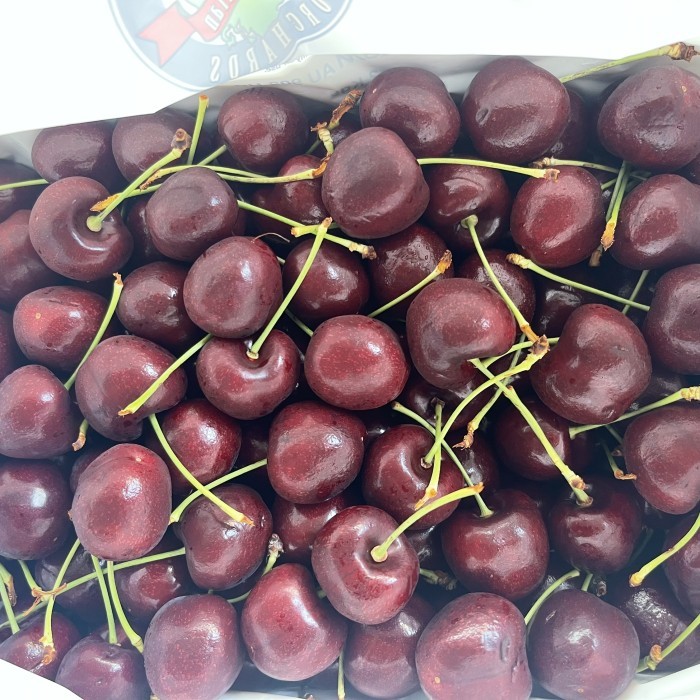 

Cherry cherry tazmania cherry tazmania premium