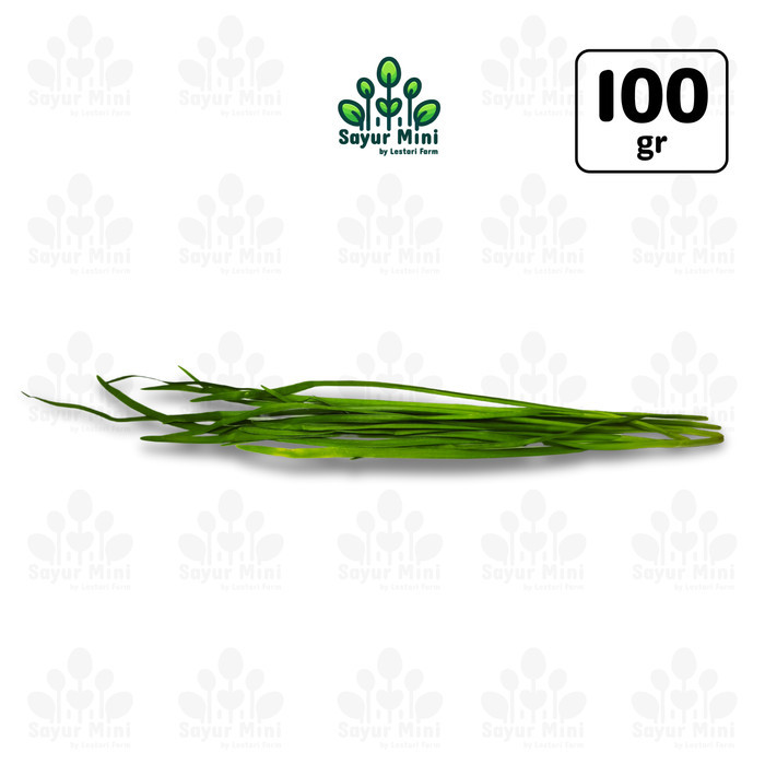 

Garlic Chives 100gr - Kucai / Daun Bawang - Sayur Fresh by Sayur Mini