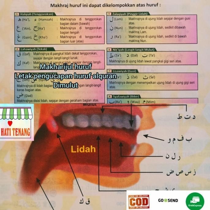 ALQURAN BESAR A3 LANSIA JUMBO TAJWID WARNA TERJEMAH LATIN PERKATA terlaris