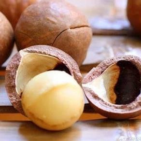 

KACANG MACADAMIA 250GRAM ROASTED MACADAMIA MILK BUTTER