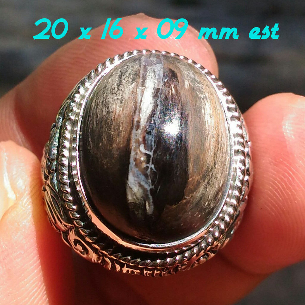 Natural Petrified Wood Galih Kelor Kristal Ajib Motif Kendit