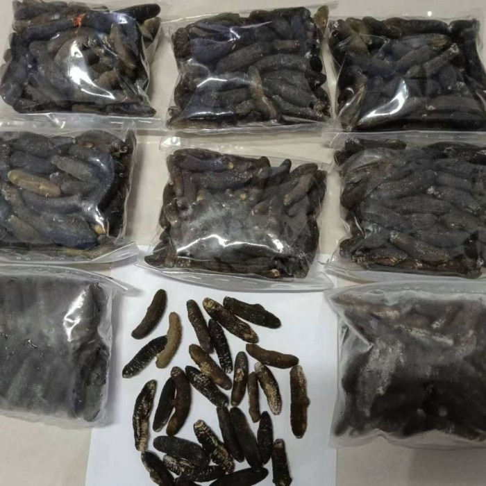 

TRIPANG TERIPANG HAI SOM HAISOM 500GRAM