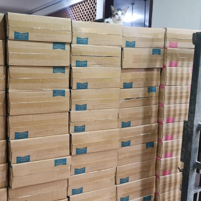 Grosir Makanan Basah Kucing Life Cat Kaleng 1 Dus. Life Cat Wet Food