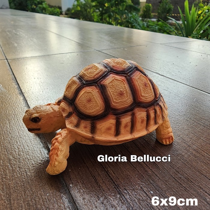 TERLARIS patung kura kura sulcata pajangan kura2 tortoise africa turtle