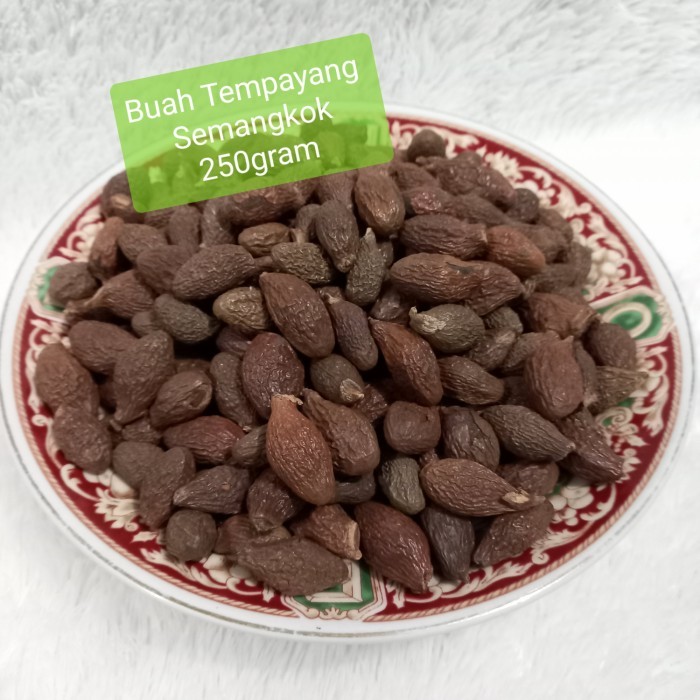 

BUAH TEMPAYANG SEMANGKOK 250GR/ PANG TA HAI/ MALVA NUT