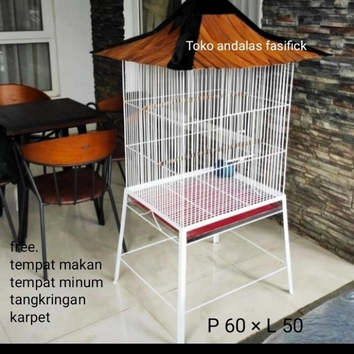 kandang Burung Beo. kandang ayam kate. ayam serama kandang ayam