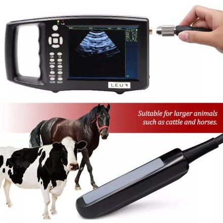 USG Hewan Ternak Alat Tes Kehamilan Uji Kehamilan Sapi Babi Kuda
