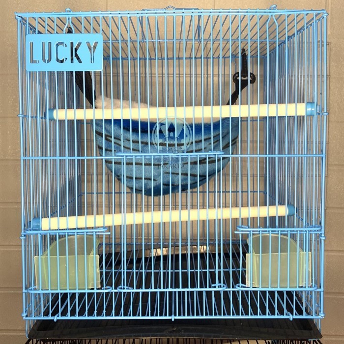 TERBARU KANDANG SUGAR GLIDER 30 x 30