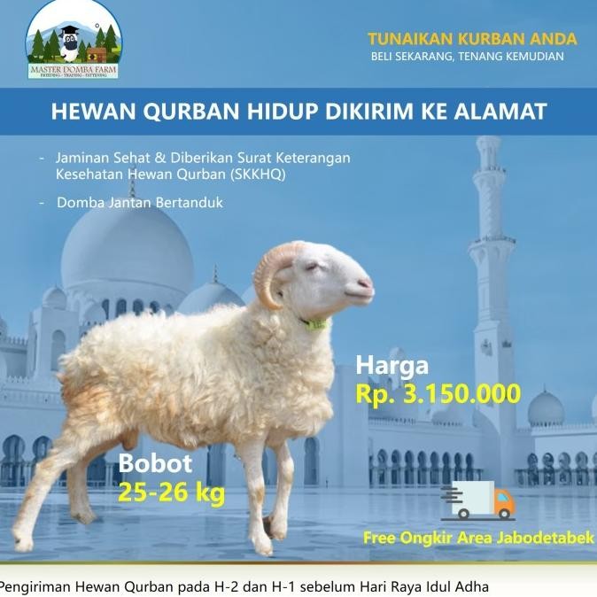 

Hewan Qurban Domba / Kambing Kurban Bobot 25 kg