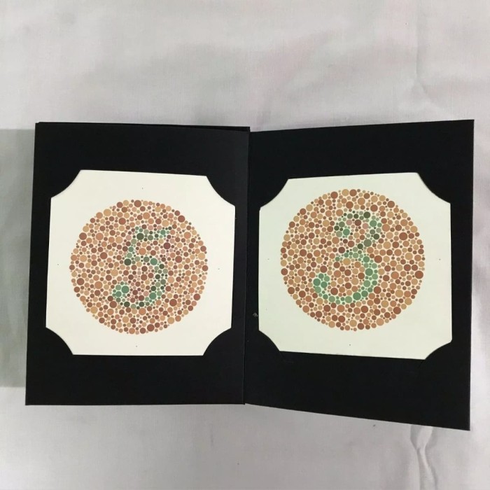 

GRATIS ONGKIR buku ishihara 38 plate asli import kanehara alat test baca buta warna