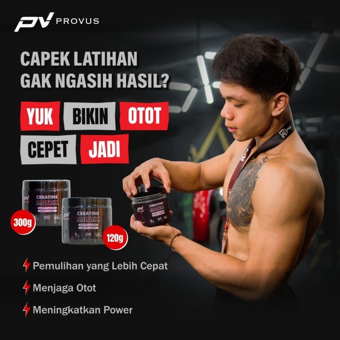 PROVUS CREATINE MATRIX UNFLAVOURED