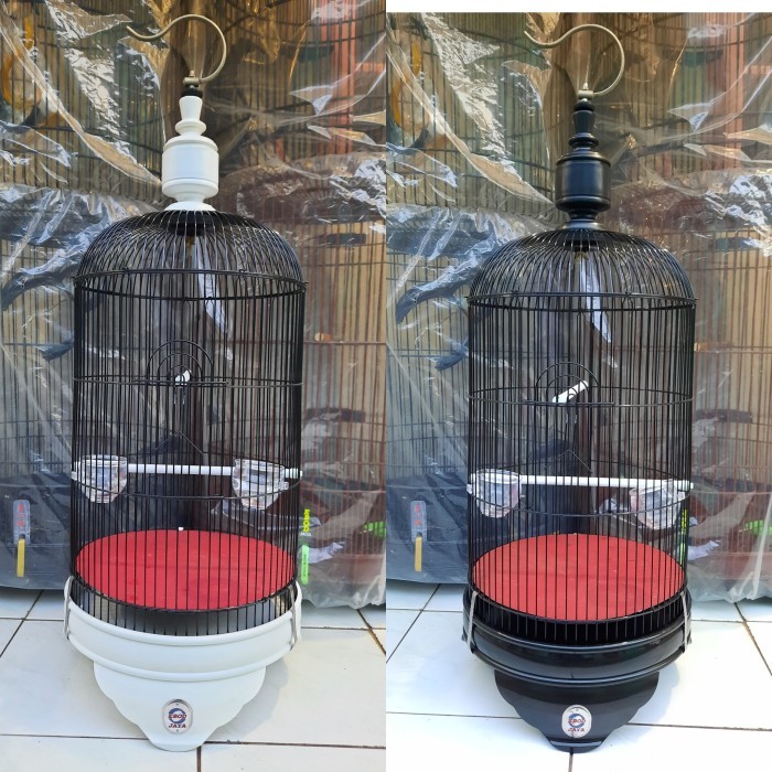 PROMO SANGKAR LOVE BIRD EBOD JAYA PVC WARNA