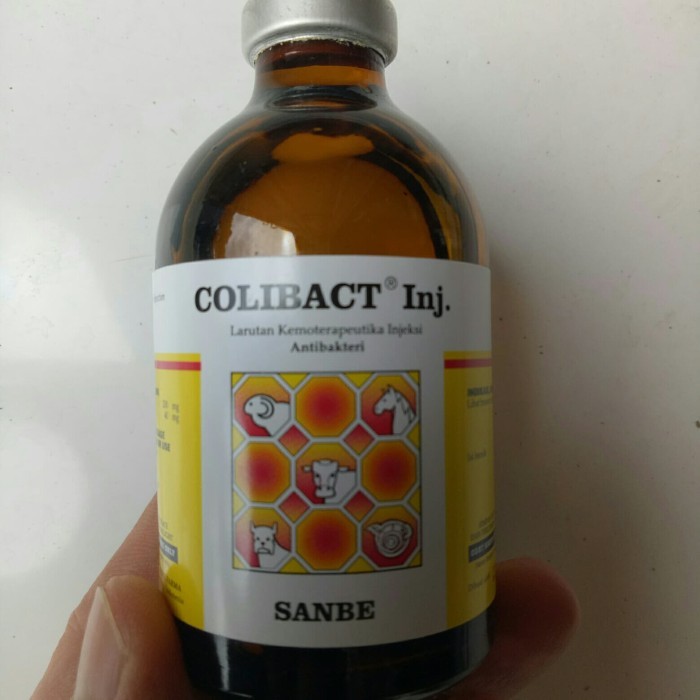 Colibact Inj 50 Ml Gercep