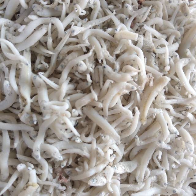 

SALE TERLARIS IKAN ASIN TERI NASI MEDAN READYY