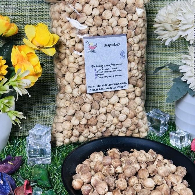 

Kapulaga Utuh Keirng 500 Gram Rempah Bu Risma