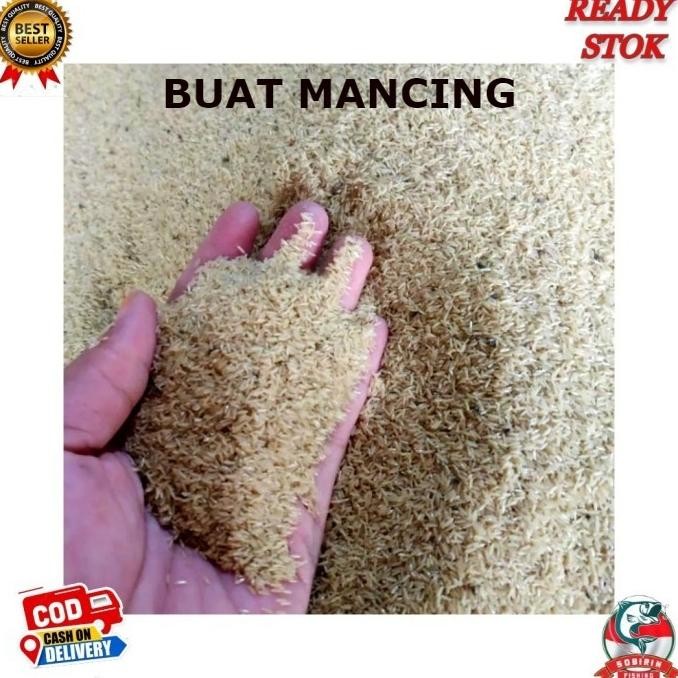 Telor Jangkrik Super - Telor Jangkrik Alam