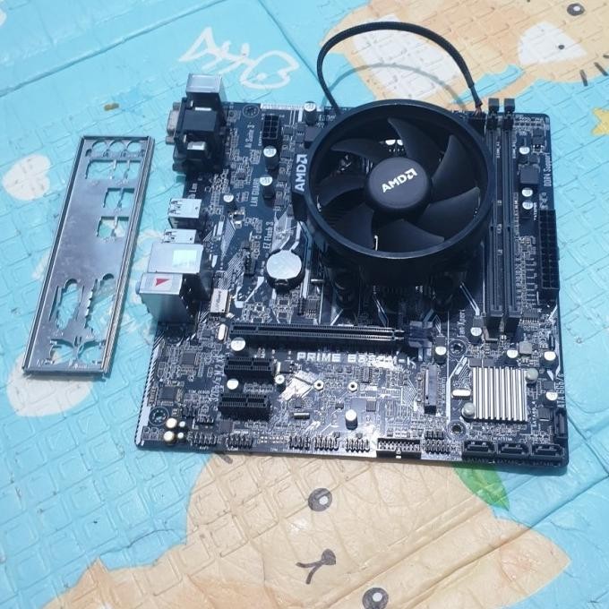 asus b350m k ryzen 5 3600