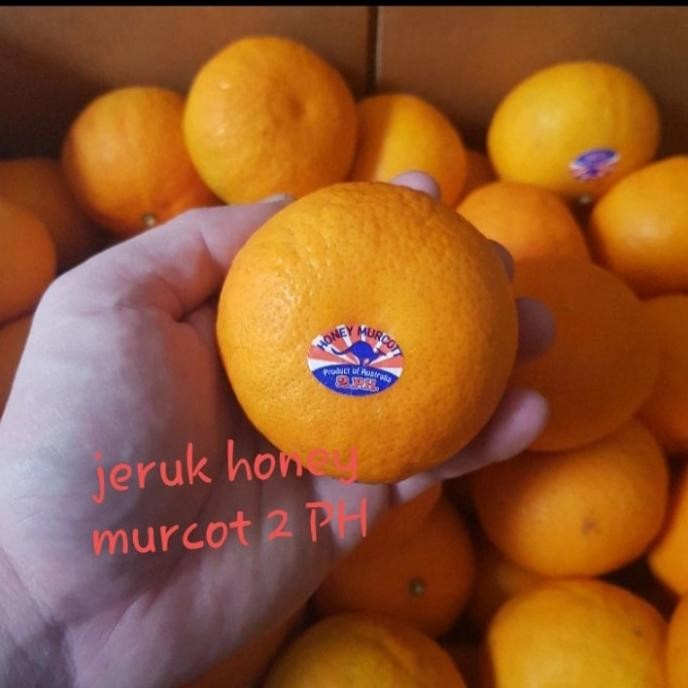 

SALE! JERUK HONEY MURCOT AUSTRALIA 2 .PH FRESH PER 1 DUS